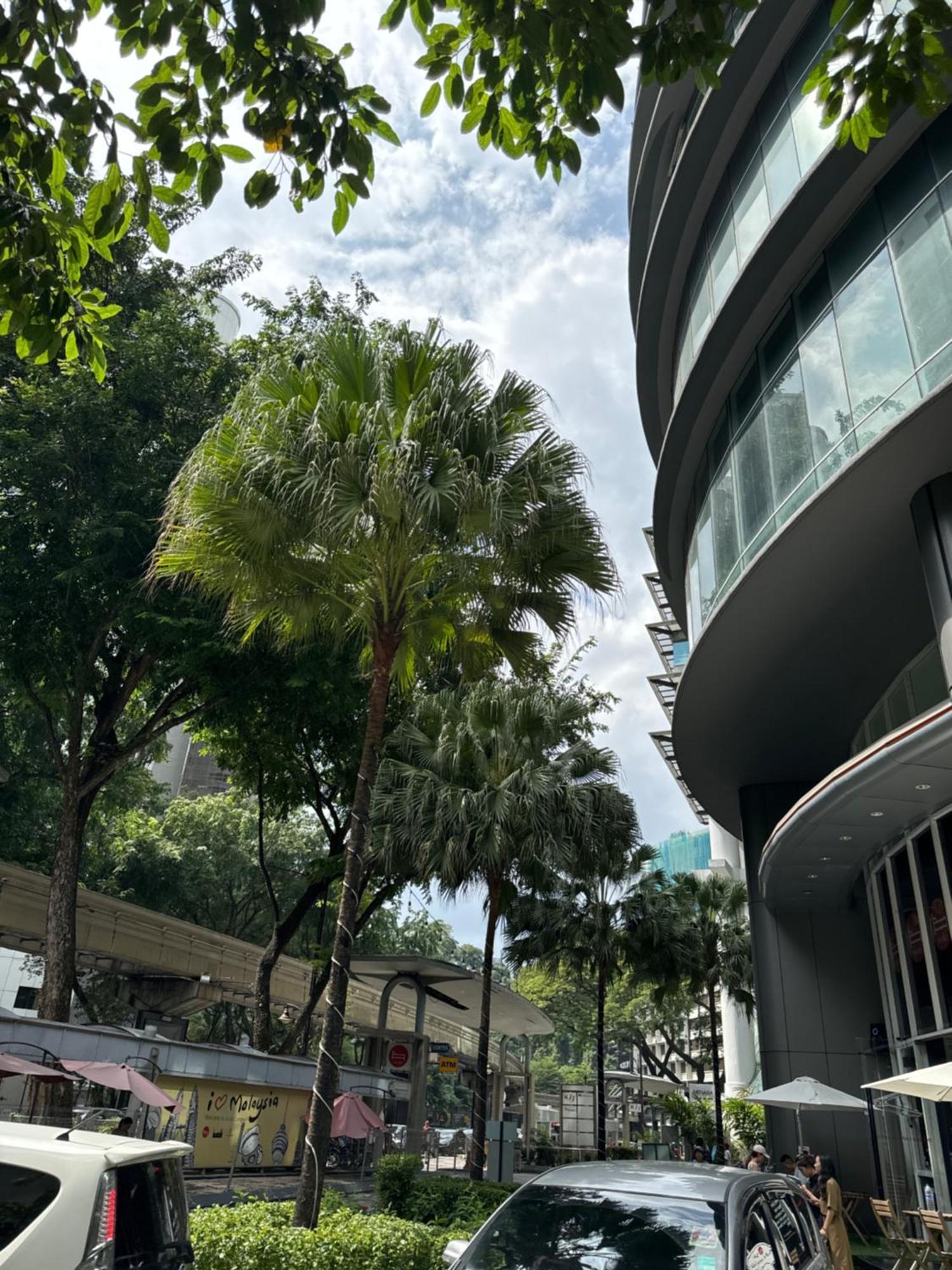 Vortex Suites Klcc 2Bedroom & 3Bedroom Apartment Kuala Lumpur Eksteriør billede